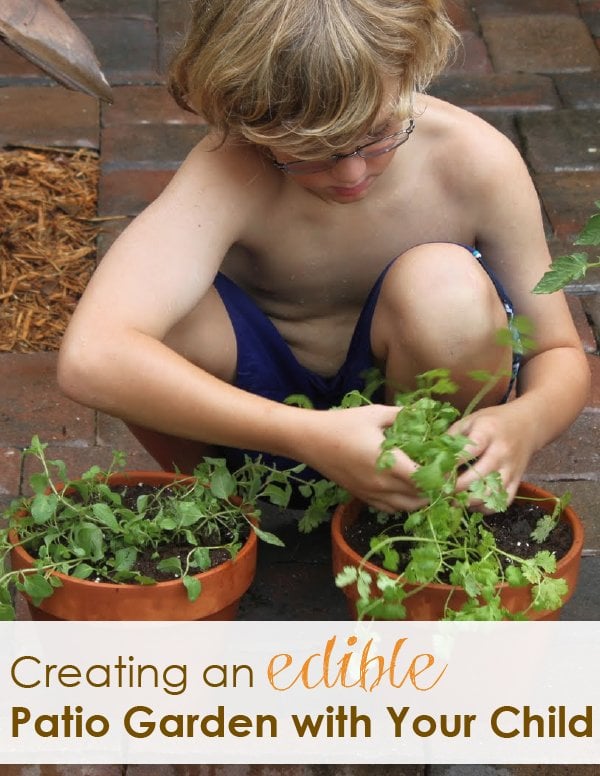 Creating an Organic Edible Patio Garden with Your Child