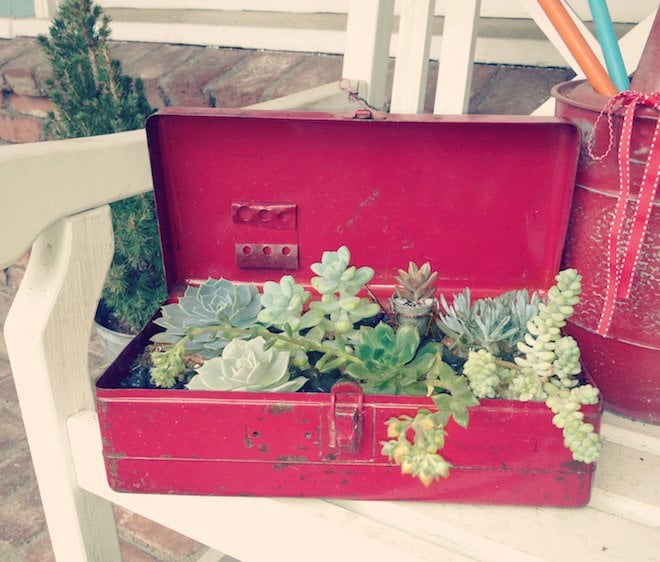 Container gardening ideas