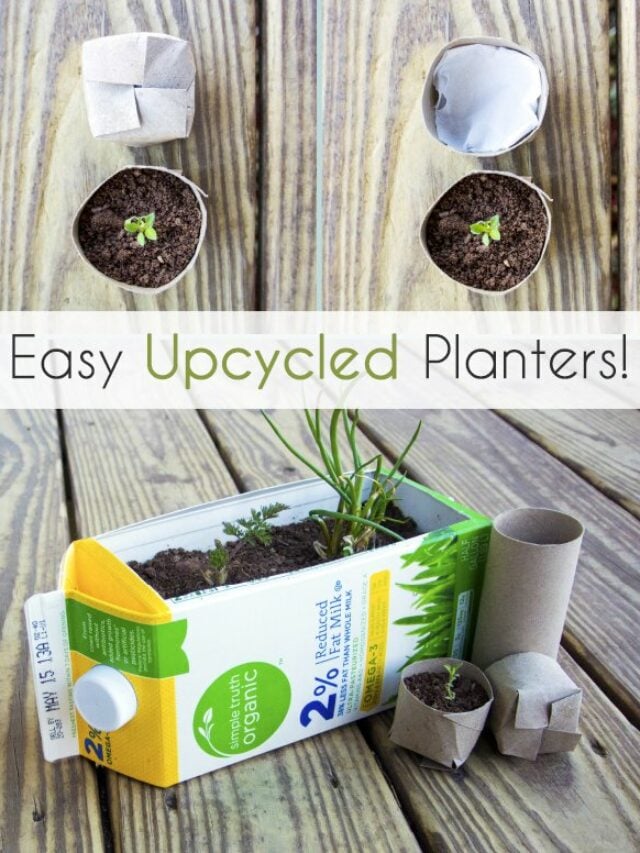 Simple DIY Upcycled Planters & Seed Starters for Gardening Story
