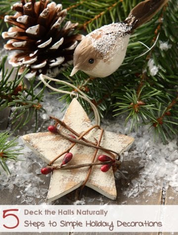 Naturally Simple Holiday Decor