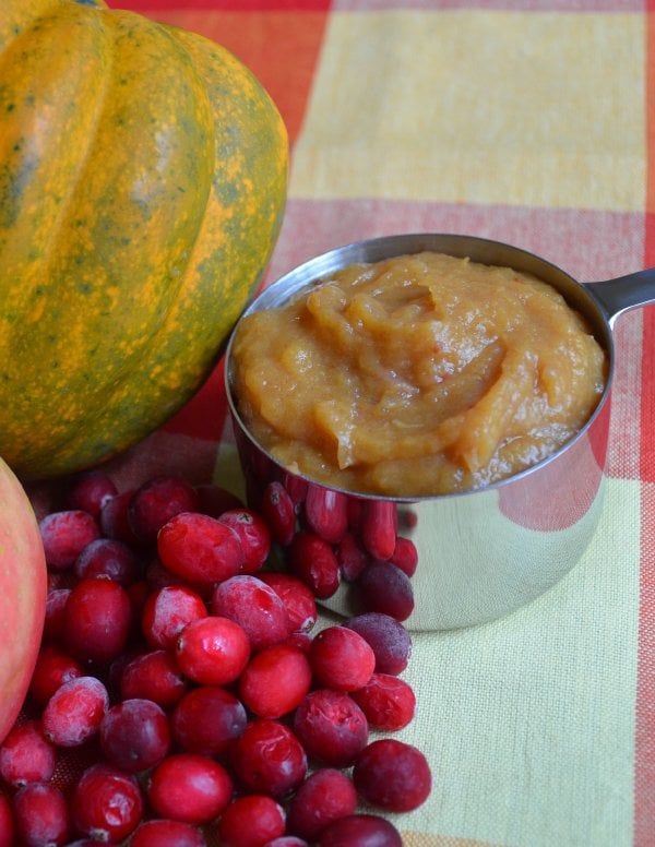 Winter Squash, Apple, & Cranberry Puree Stage 2 Baby Food Recipe