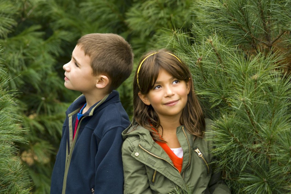 Real Christmas Tree vs. Artificial — Green Child Magazine
