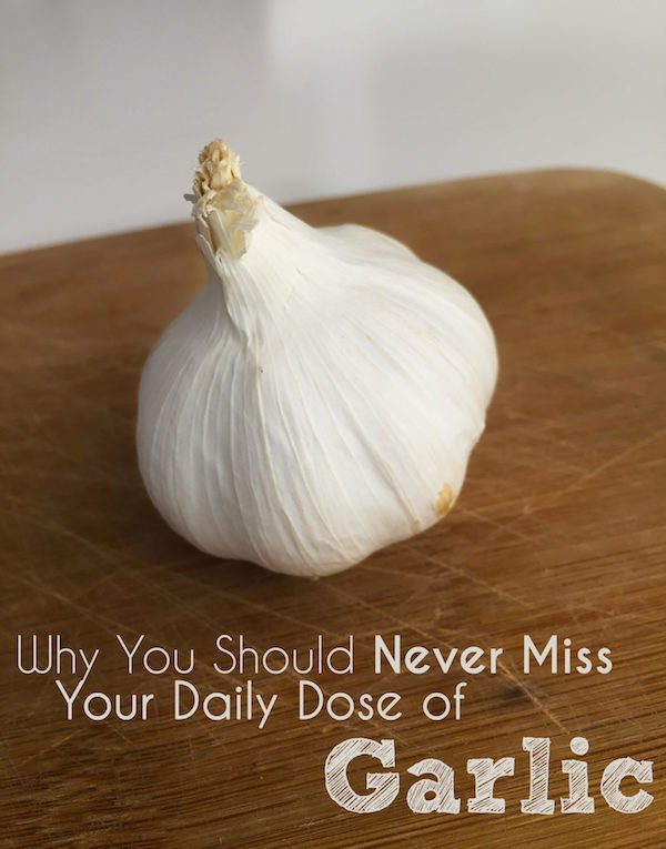 Garlic has been shown to boost the immune system, making it a great fighter of colds. A diet rich in garlic has shown to help lower the risk of nearly all types of cancer, possibly even helping to slow tumor growth.