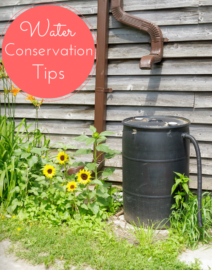 water conservation tips for students