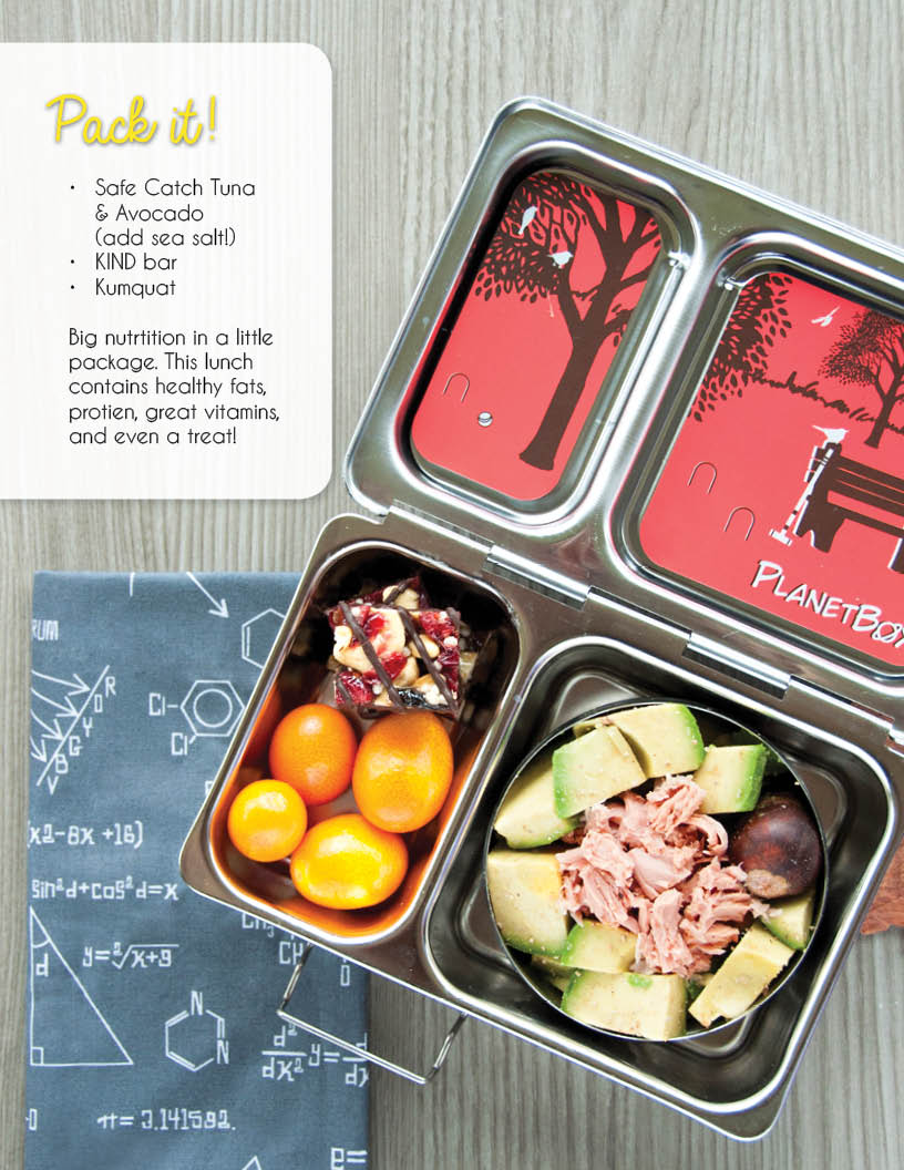 School Lunch Ideas for Kids: Planning Tips and Ideas for a Better School  Lunch — Nutrition in Bloom