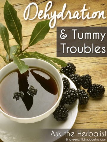 Dehydration & Tummy Troubles: Master herbalist, Susie Lyons, shares natural, home-care tips to prevent dehydration when your child has a stomach bug.