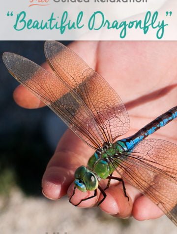 Big Emotions & the Beautiful Dragonfly - Guided meditation script