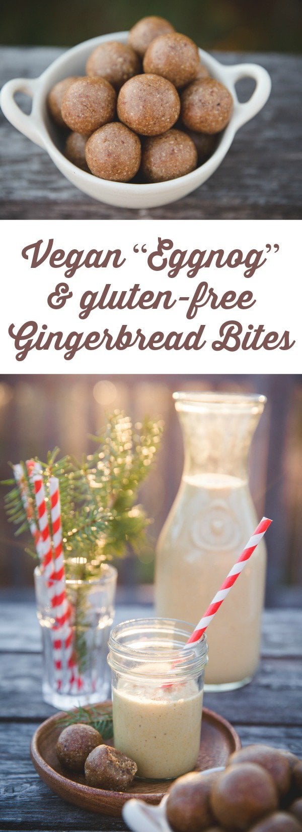 Raw Vegan Eggnog & Gluten-Free Gingerbread Bites