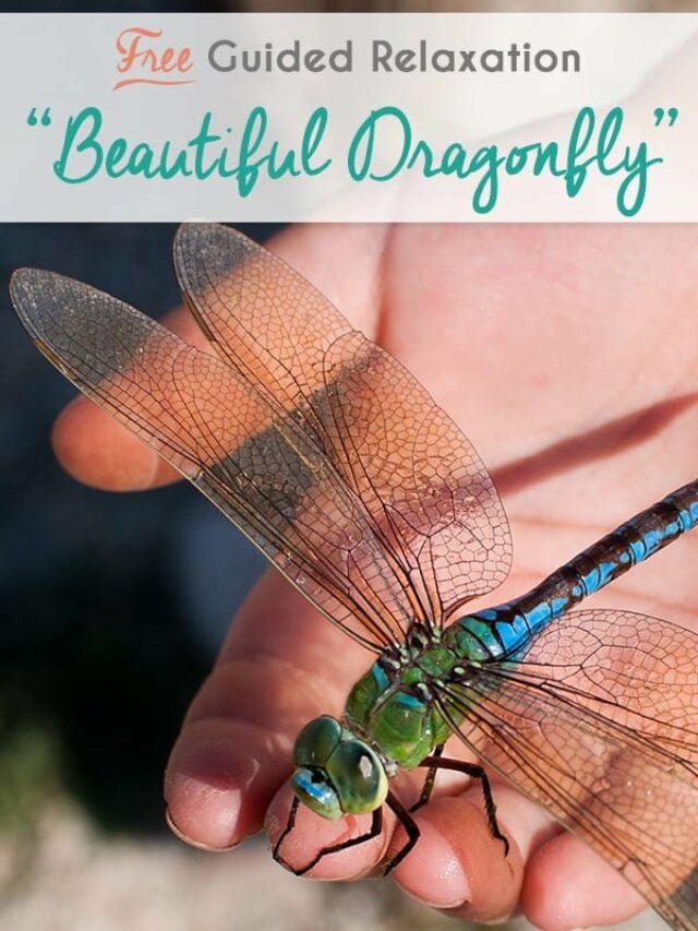 Guided Relaxation and Meditation for Emotions: The Beautiful Dragonfly