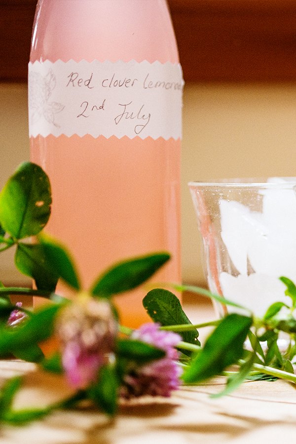 Freshly Foraged Red Clover Lemonade