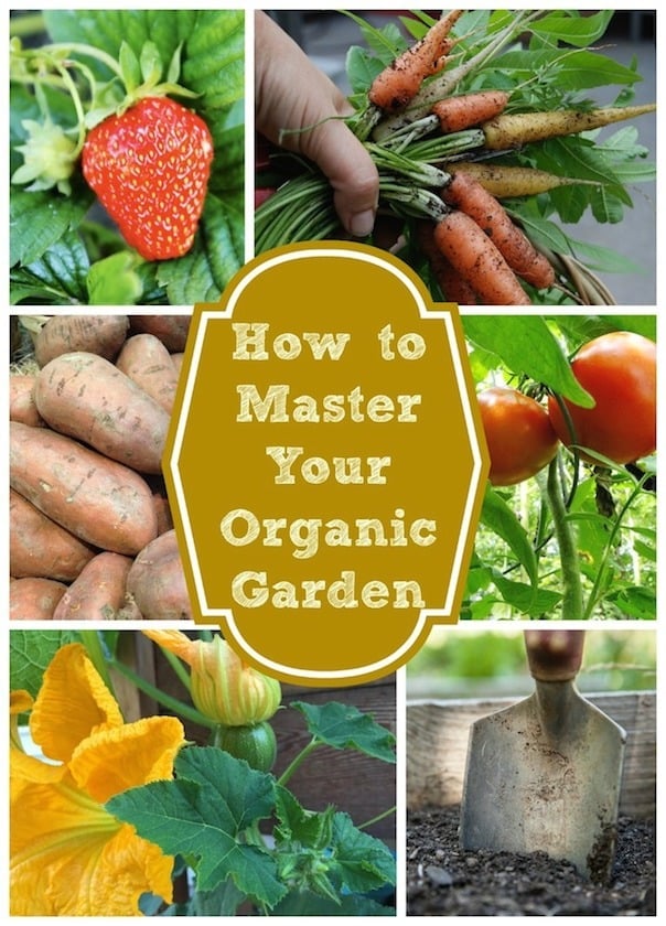 How to Master Your Organic Garden