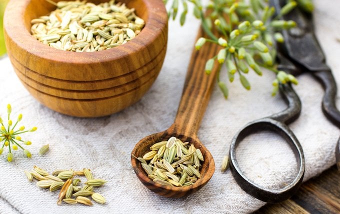What Herbs Help Boost Fertility In Women Conceiveeasy Com