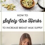 Breastfeeding mothers can experience fluctuations in milk supply. There are a number of herbs that have been found to promote breastfeeding and boost milk production. Here's a list of breastfeeding herbs and how to safely use them.