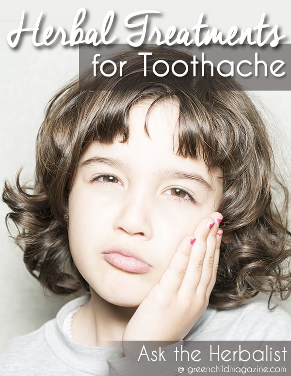 Ask the Herbalist: Natural Remedies for Toothache