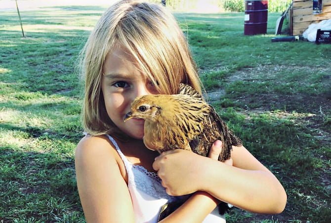 Children & Chickens: What Backyard Chickens Can Teach Kids
