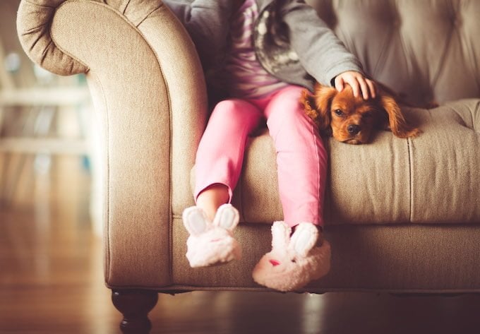 Is Your Child Ready for a Pet?