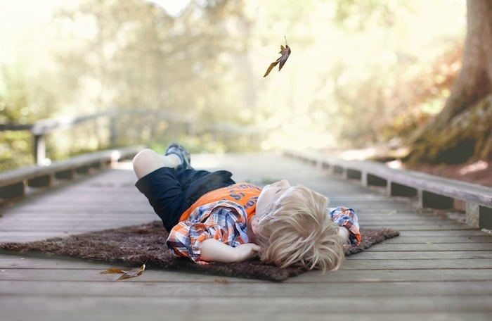 Little boy lying on his back in nature as a leaf falls from an overhead tree