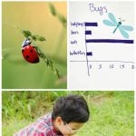 Backyard Bug Count