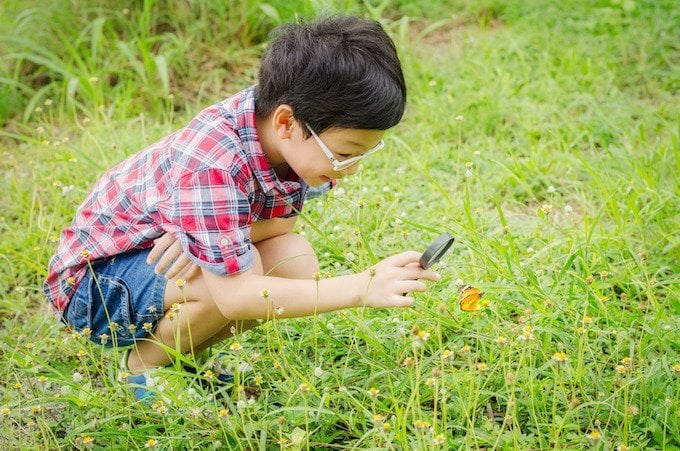 Outdoor Science Activity: Backyard Bug Count