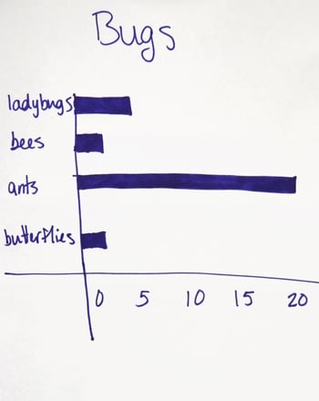 Backyard Bug Count tally example