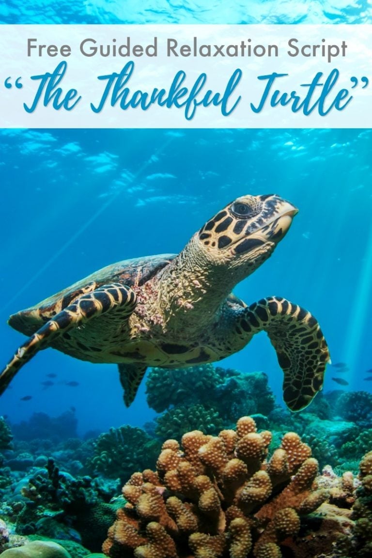 Gratitude Meditation Script: The Thankful Turtle