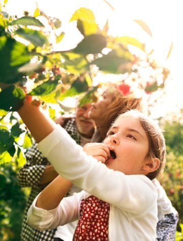 How You Can Protect Your Child From Pesticide Exposure