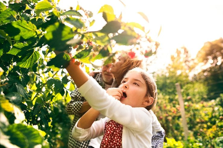 How You Can Protect Your Child From Pesticide Exposure