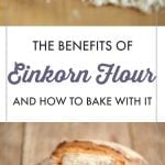 Everything you need to know about the health benefits of einkorn flour plus how to use it