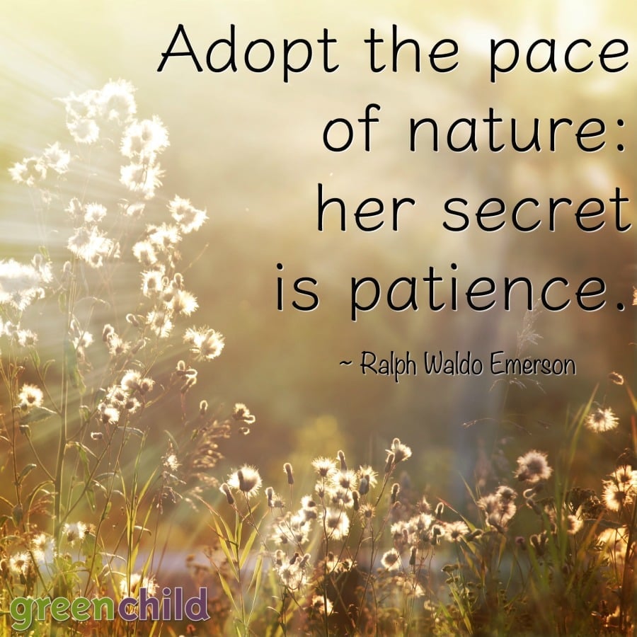 nature quote from Emerson