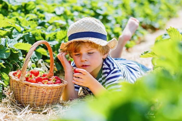 Are you looking for creative ways to get your kids outside the house and off those devices? Maybe you’re struggling to encourage your kids to eat healthy? Kid-friendly garden projects can accomplish both... and then some.