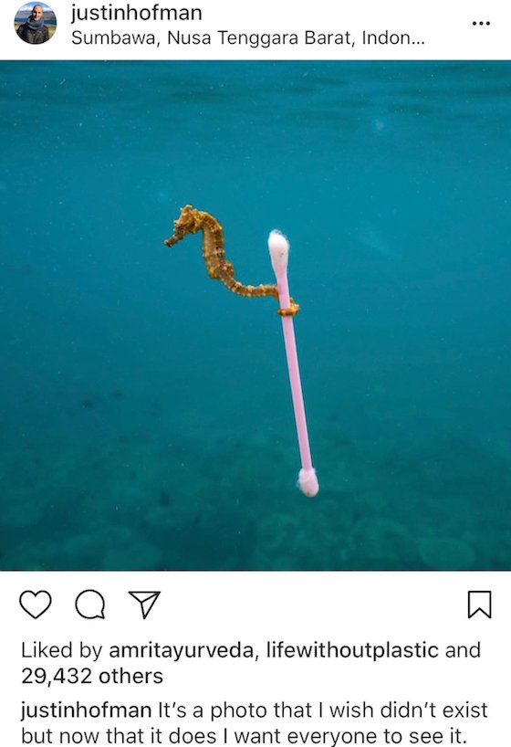 The problem with single-use plastic & how you can avoid it