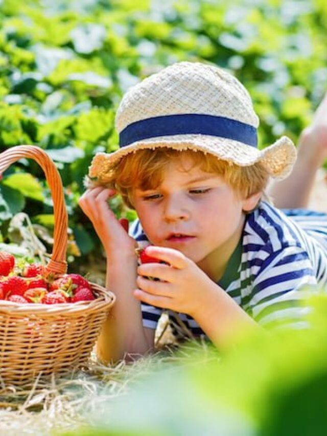 Creative Kid-Friendly Garden Projects to Try this Season Story