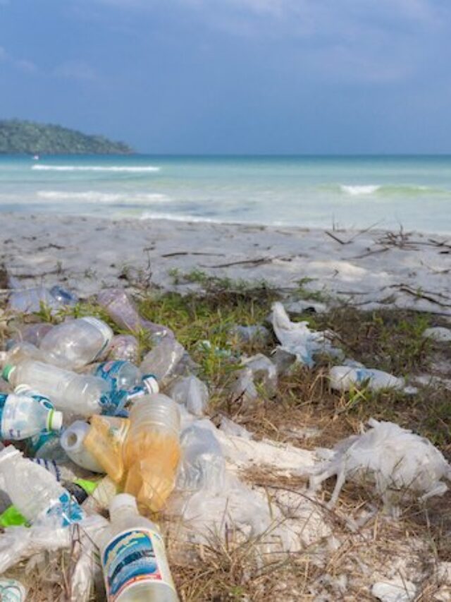 The Problem With Single-Use Plastic & How You Can Avoid It Story