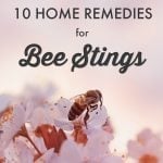 10 Home Remedies for Bee & Wasp Stings