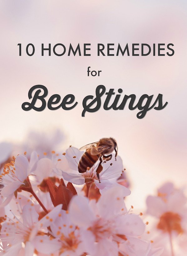 10 Home Remedies for Bee Stings & Wasp Stings