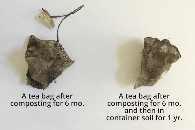 Are you surprised to learn that most tea bags contain up to 25% plastic? We're discussing why there is plastic in tea bags and how you can avoid it.