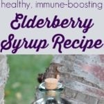 Ingredients for making your own elderberry syrup