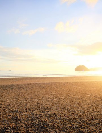 The Mental, Emotional, and Physical Benefits of Yoga