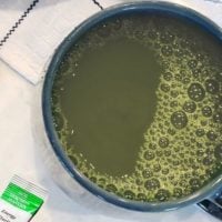 Marvelous Matcha Tea Recipe