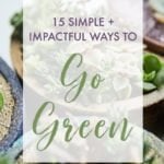 Succulents in a graphic about the top 15 ways to go green