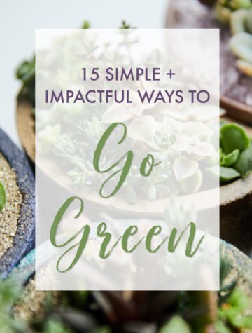 Succulents in a graphic about the top 15 ways to go green