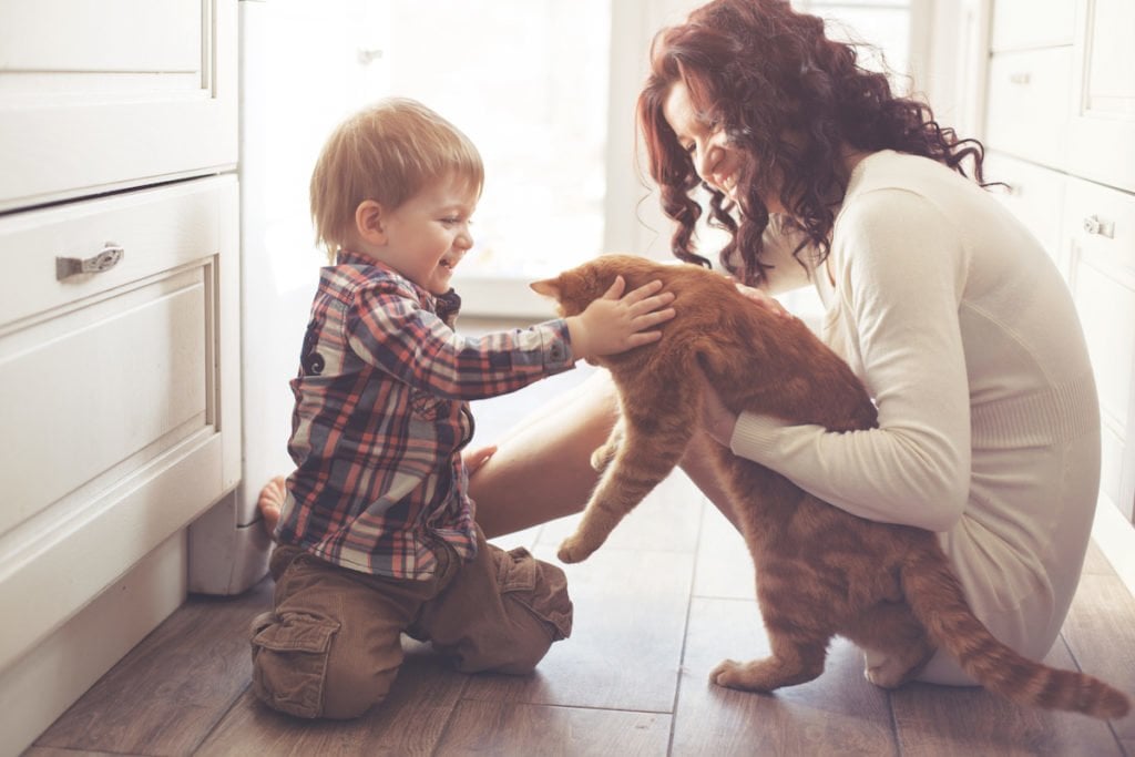 Mother and son playing with cat and relaxing