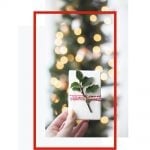 Green Gift Guide Eco Friendly Stocking Stuffers