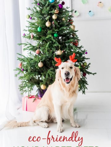 Green Gifts for Pets