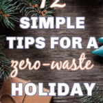 zero waste holiday