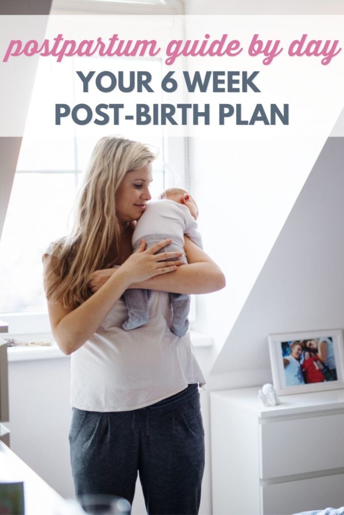 Daily Postpartum Guide for new moms with infants