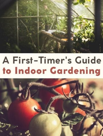 indoor gardening
