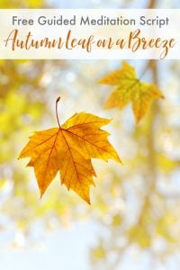 Guided Meditation Script Autumn Leaf