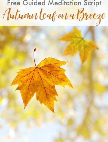 Guided Meditation Script Autumn Leaf