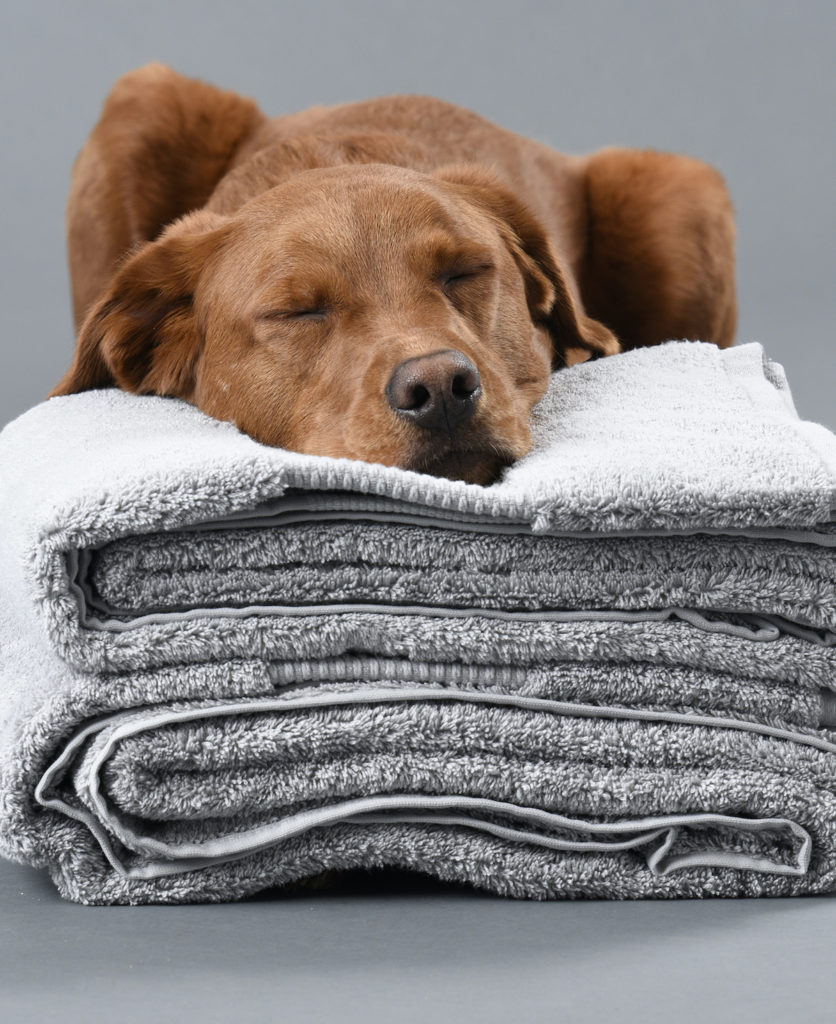 Luxurious organic cotton bath towels from Delilah Home